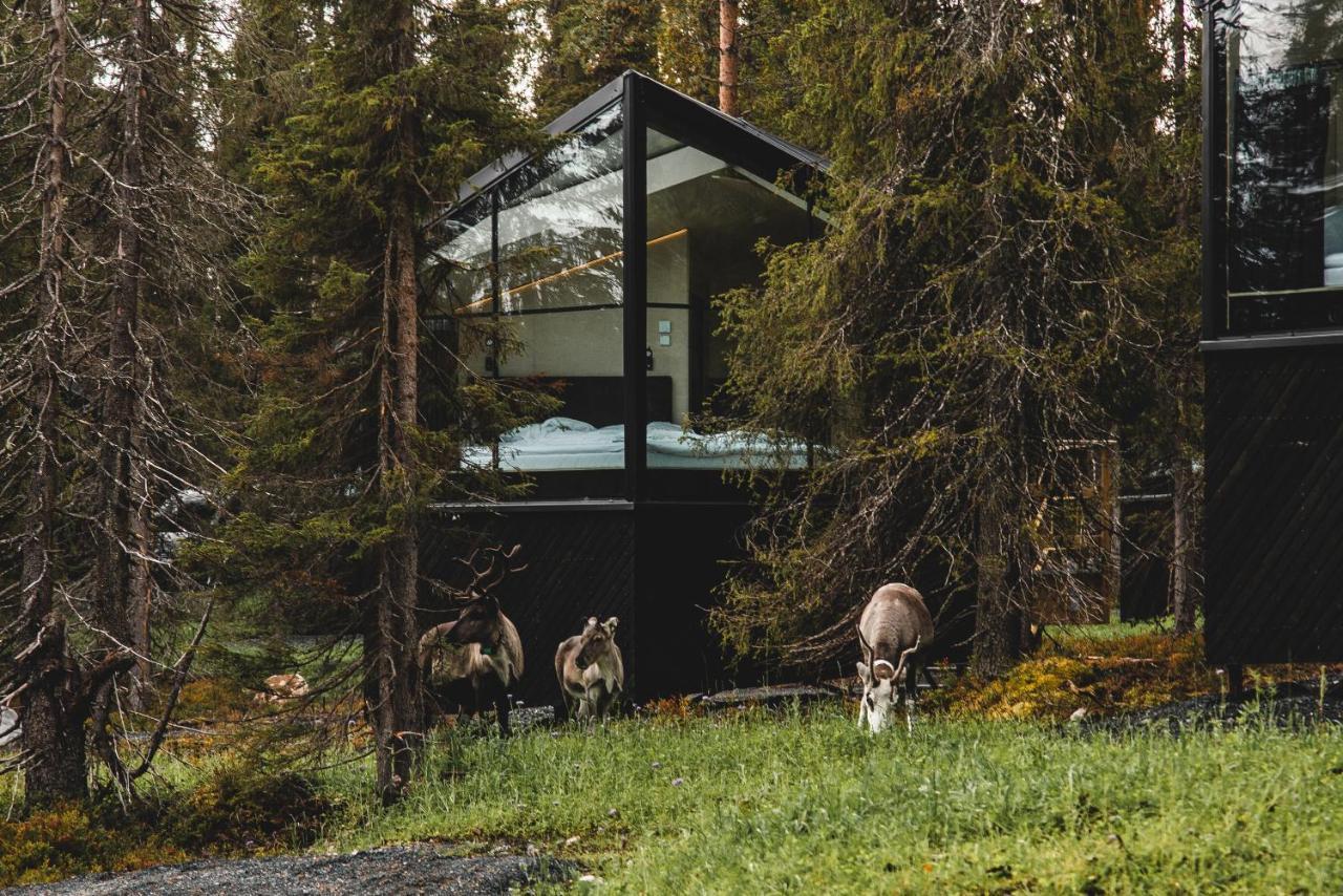 Magical Pond Nature Igloos Ruka Εξωτερικό φωτογραφία
